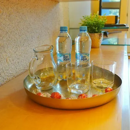 Luxury Duplex *